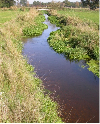 Gewässerausbau