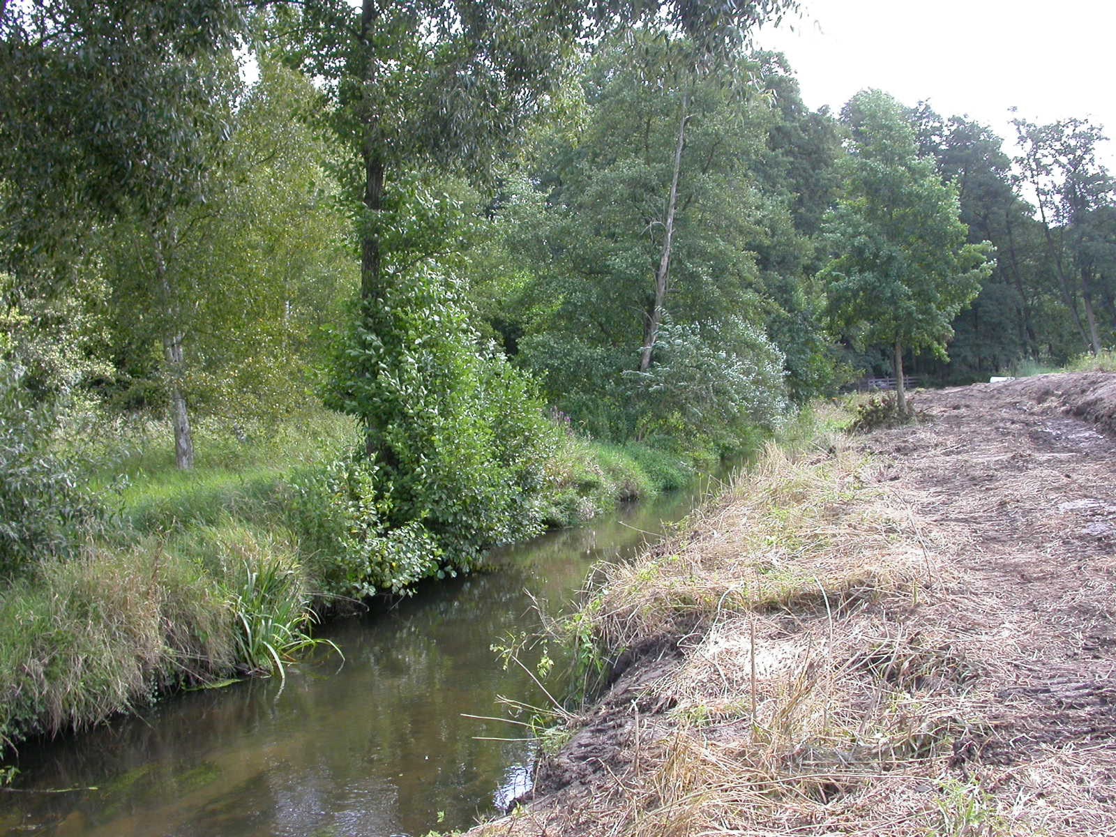 Steinau Lh II vorher