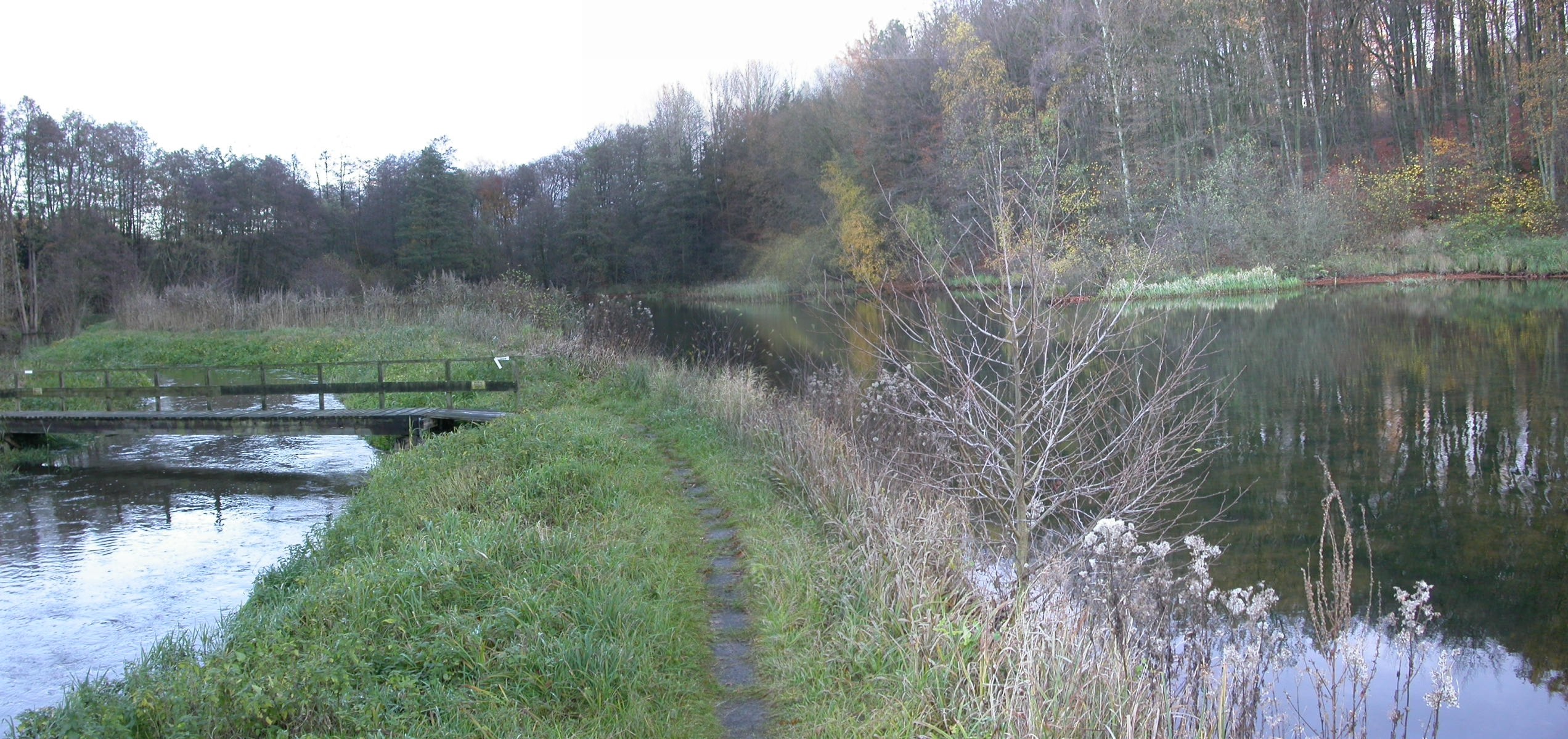 Steinau lhIII Brücke