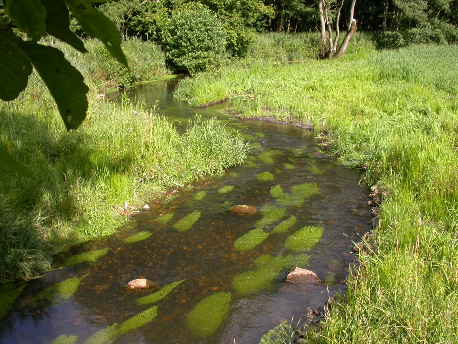 Steinau Lh III nachher