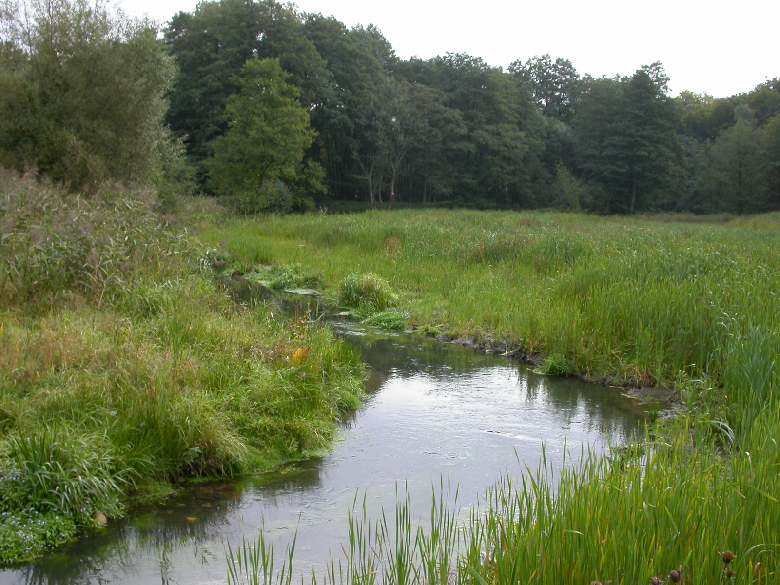 steinau lhans3 röhr