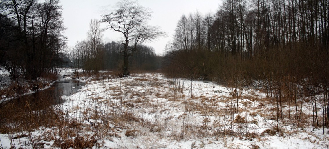 Steinau Winter 2