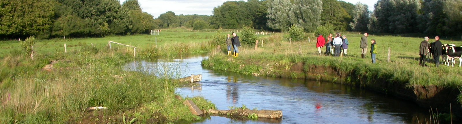 stör verschwenk breit